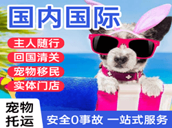 阳江合山机场托运国际宠物托运 【国